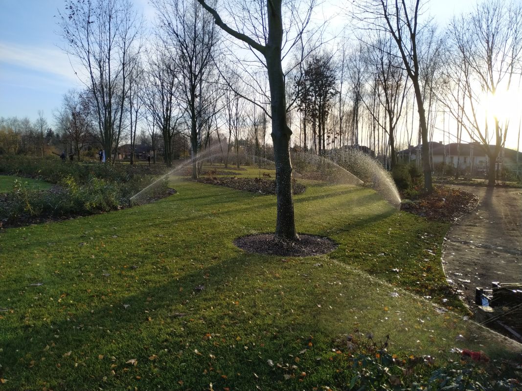 nawodniony-ogrod-systemy-automatycznego-nawadniania-21